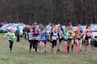 Under-15 girls start North East Harrier League, Wallington Hall, organised by Morpeth Harriers. Photo: David T. Hewitson/Sports for All Pics
